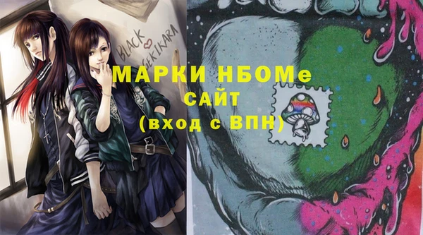 прущие грибы Горняк