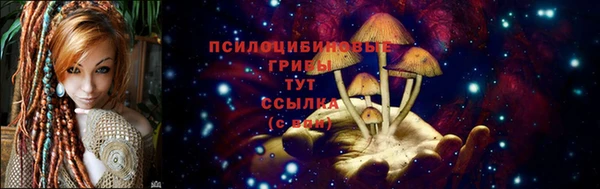 прущие грибы Горняк
