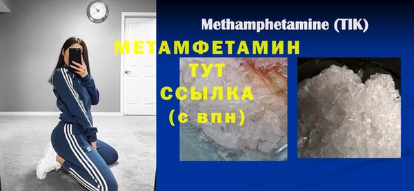 прущие грибы Горняк