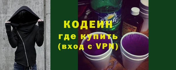 прущие грибы Горняк