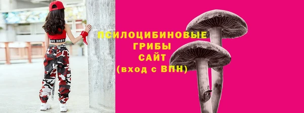 герыч Горнозаводск