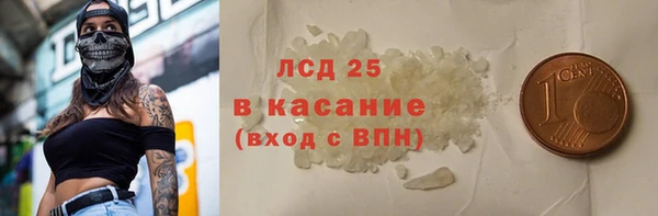 прущие грибы Горняк