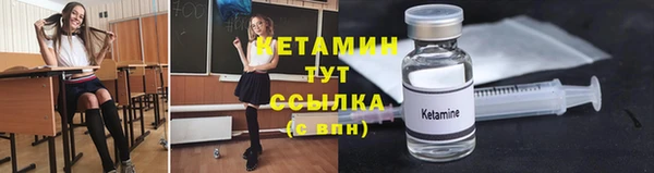 прущие грибы Горняк