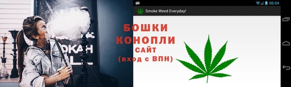 прущие грибы Горняк