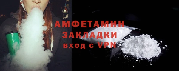 прущие грибы Горняк