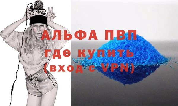 прущие грибы Горняк