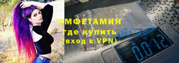 прущие грибы Горняк