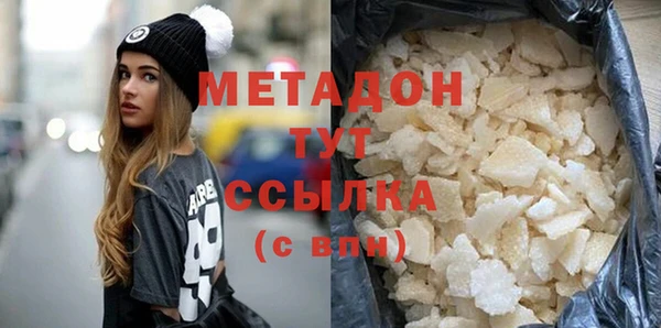 прущие грибы Горняк