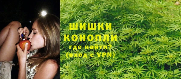 прущие грибы Горняк