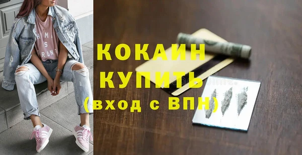 прущие грибы Горняк