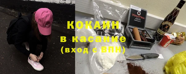прущие грибы Горняк
