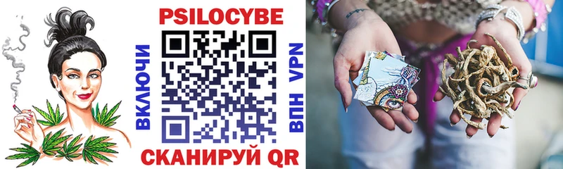 OMG   магазин    Могоча  Галлюциногенные грибы Psilocybine cubensis 